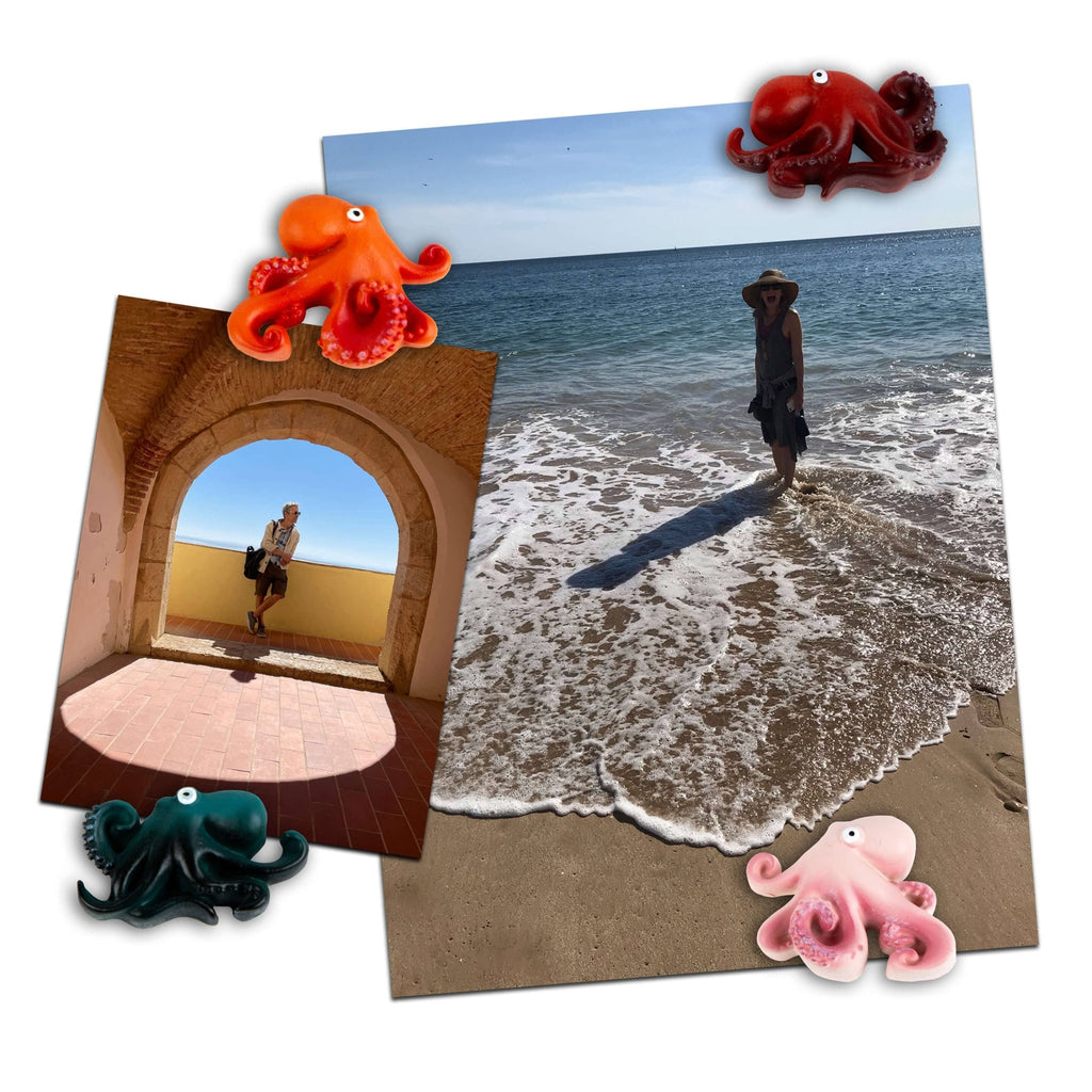 Colorful OCTOPUS magnets s/4 - Dear John