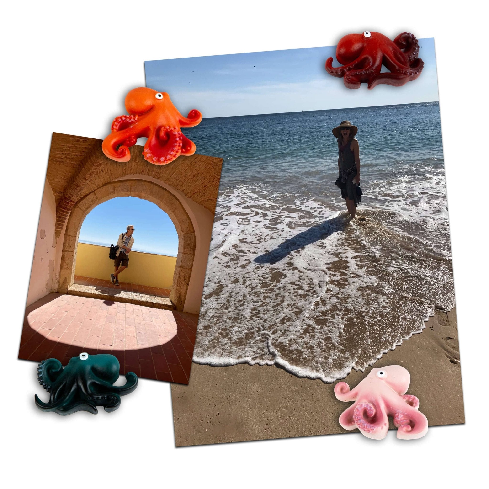 Colorful OCTOPUS magnets s/4 - Dear John