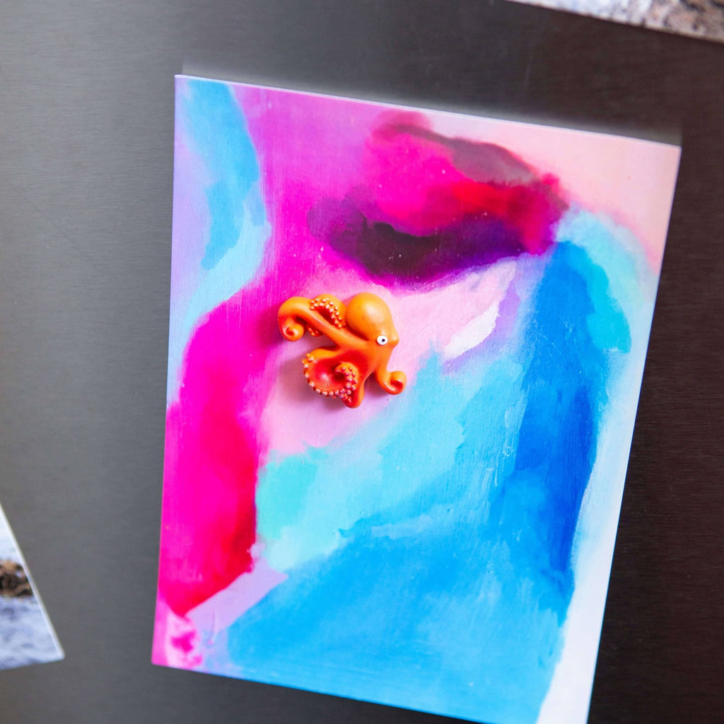 Colorful OCTOPUS magnets s/4 - Dear John