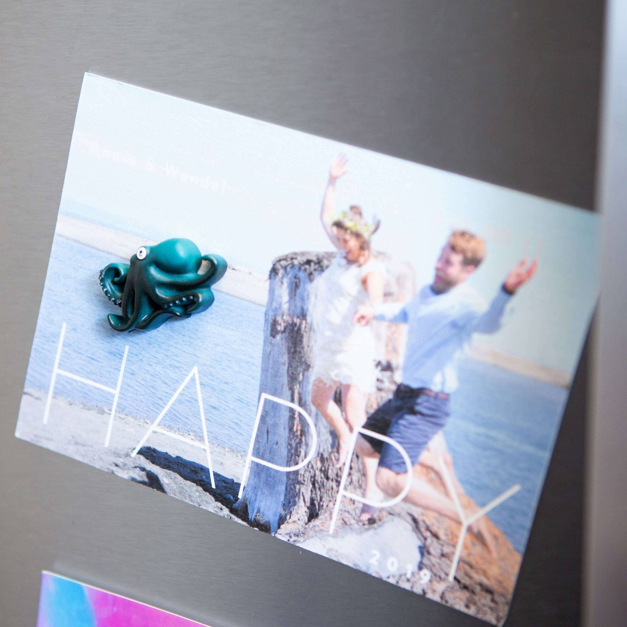 Colorful OCTOPUS magnets s/4 - Dear John