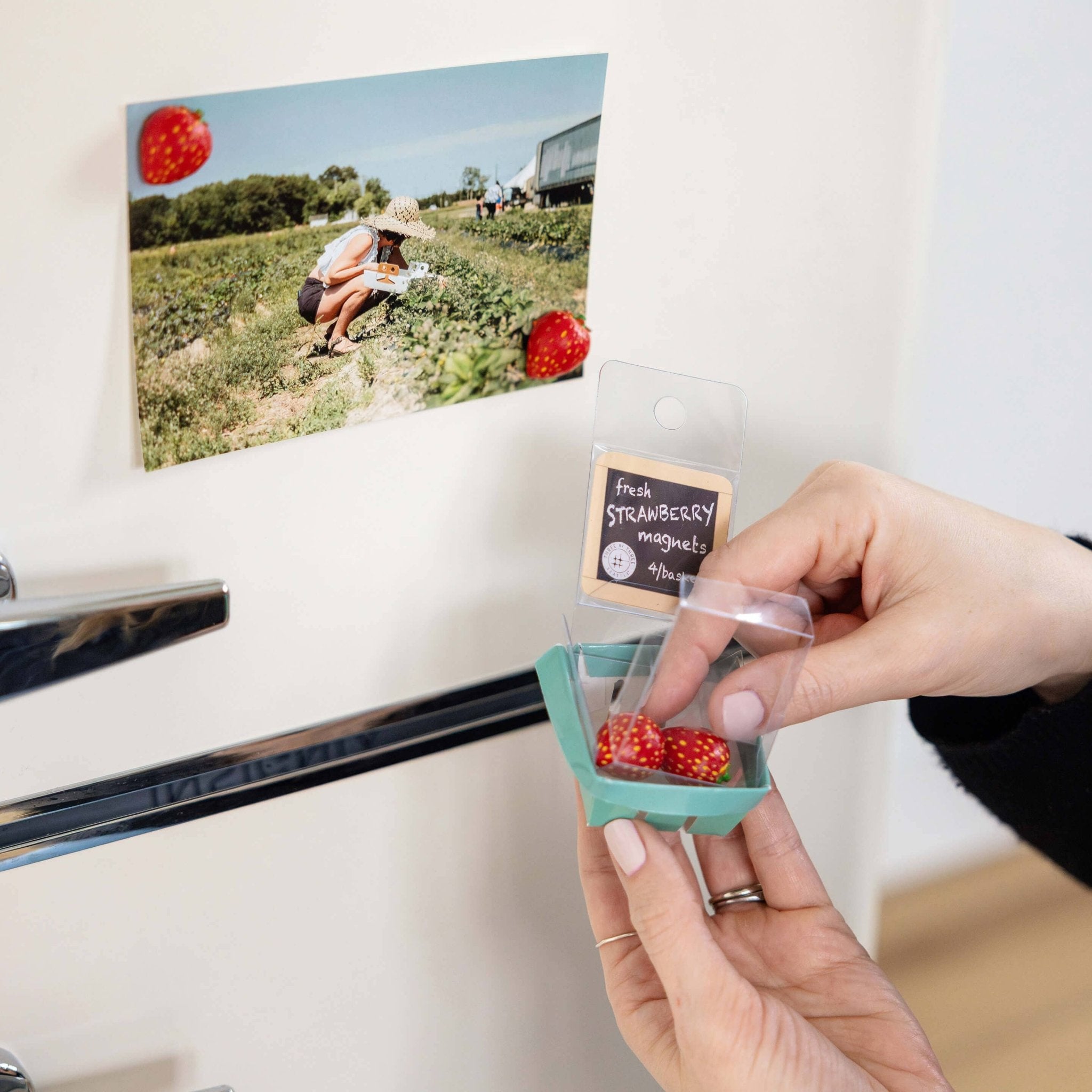 Colorful STRAWBERRY magnets ICONIC packaging s/4 - Dear John