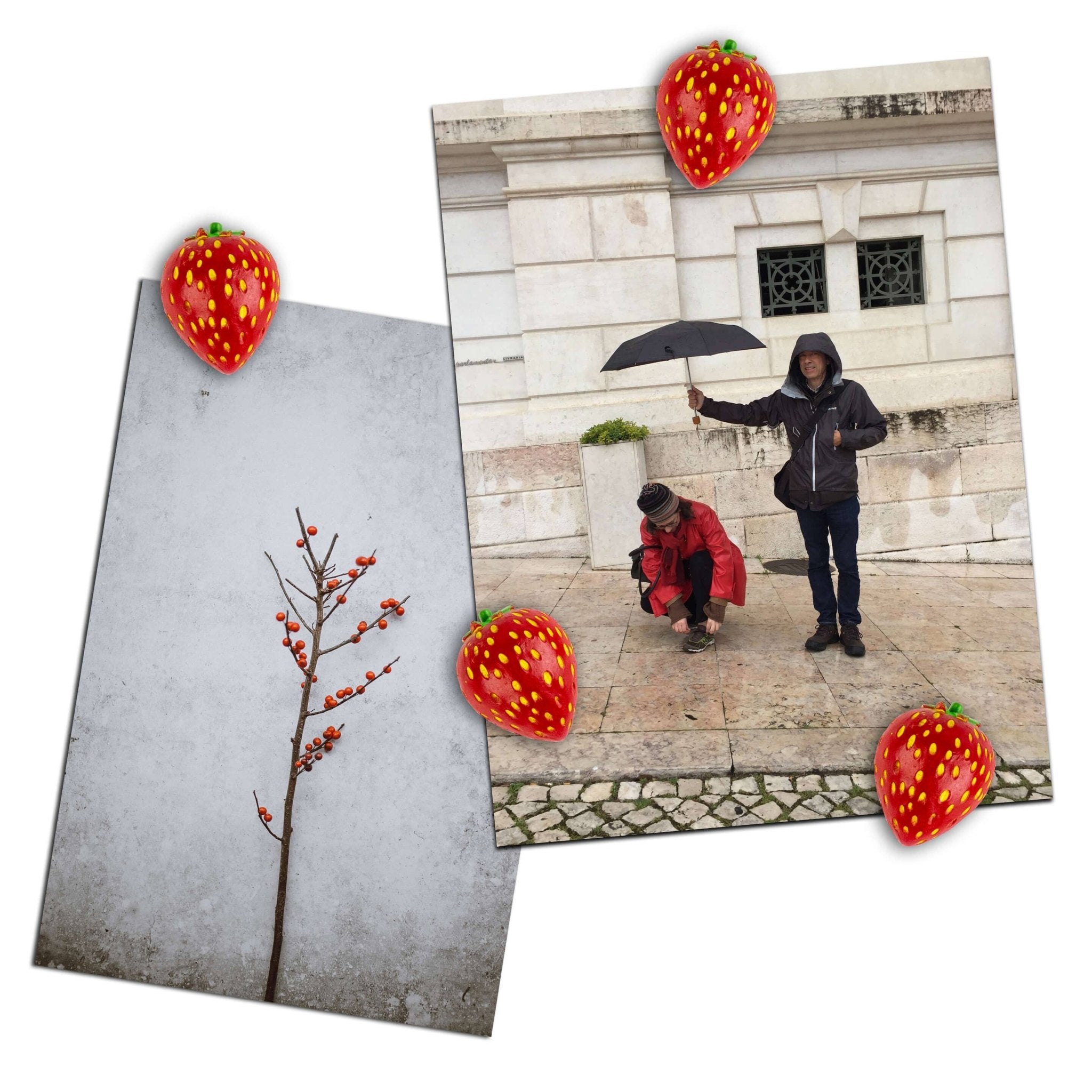 Colorful STRAWBERRY magnets ICONIC packaging s/4 - Dear John