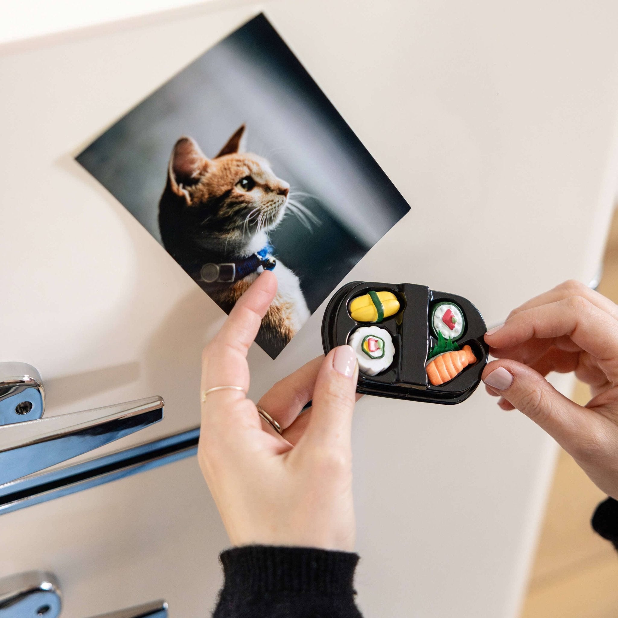 Colorful SUSHI magnets ICONIC packaging s/4 - Dear John