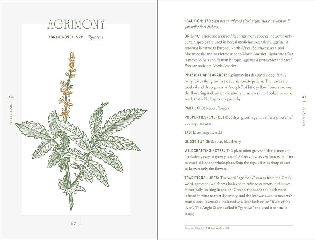 Complete Folk Herbal by Rebecca Beyer - Dear John