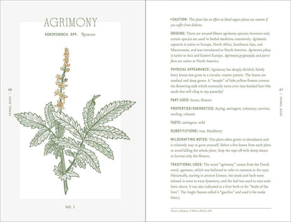 Complete Folk Herbal by Rebecca Beyer - Dear John