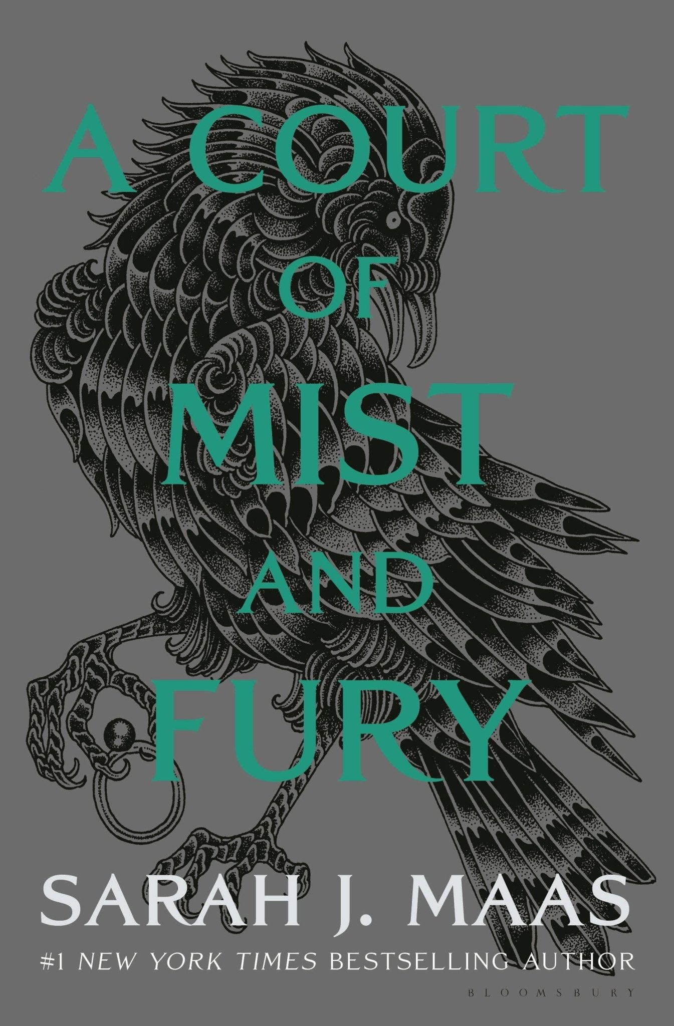 Court Of Mist And Fury Adult - Dear John