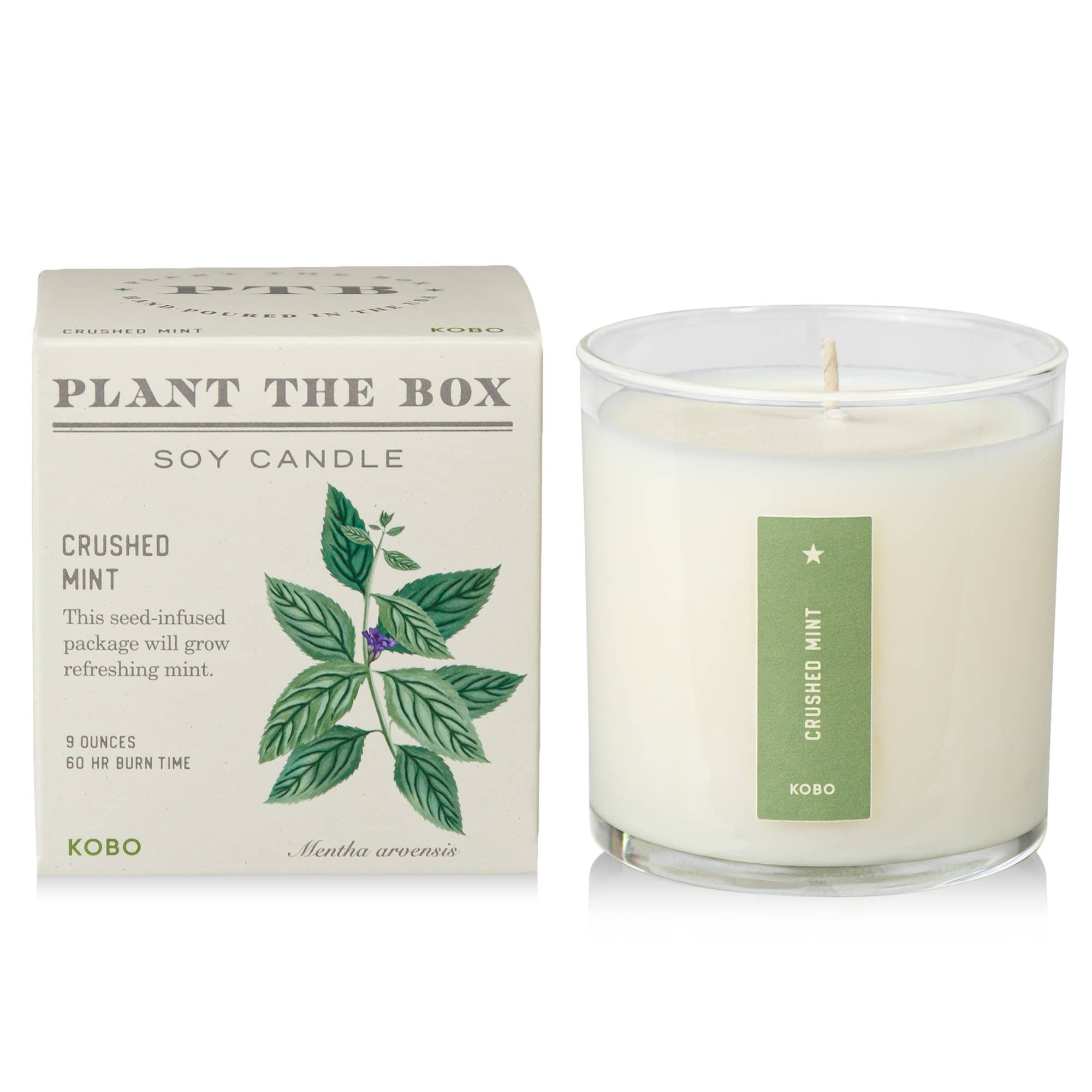 Crushed Mint - Plant the Box Candle - 9oz. - Dear John