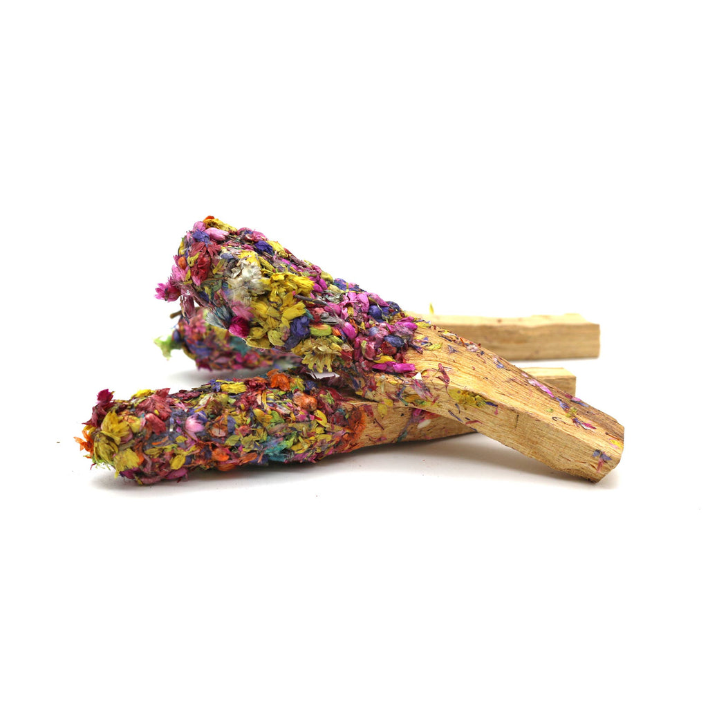 Dipped Chakra Harmony Palo Santo Pops (3–4") - Dear John
