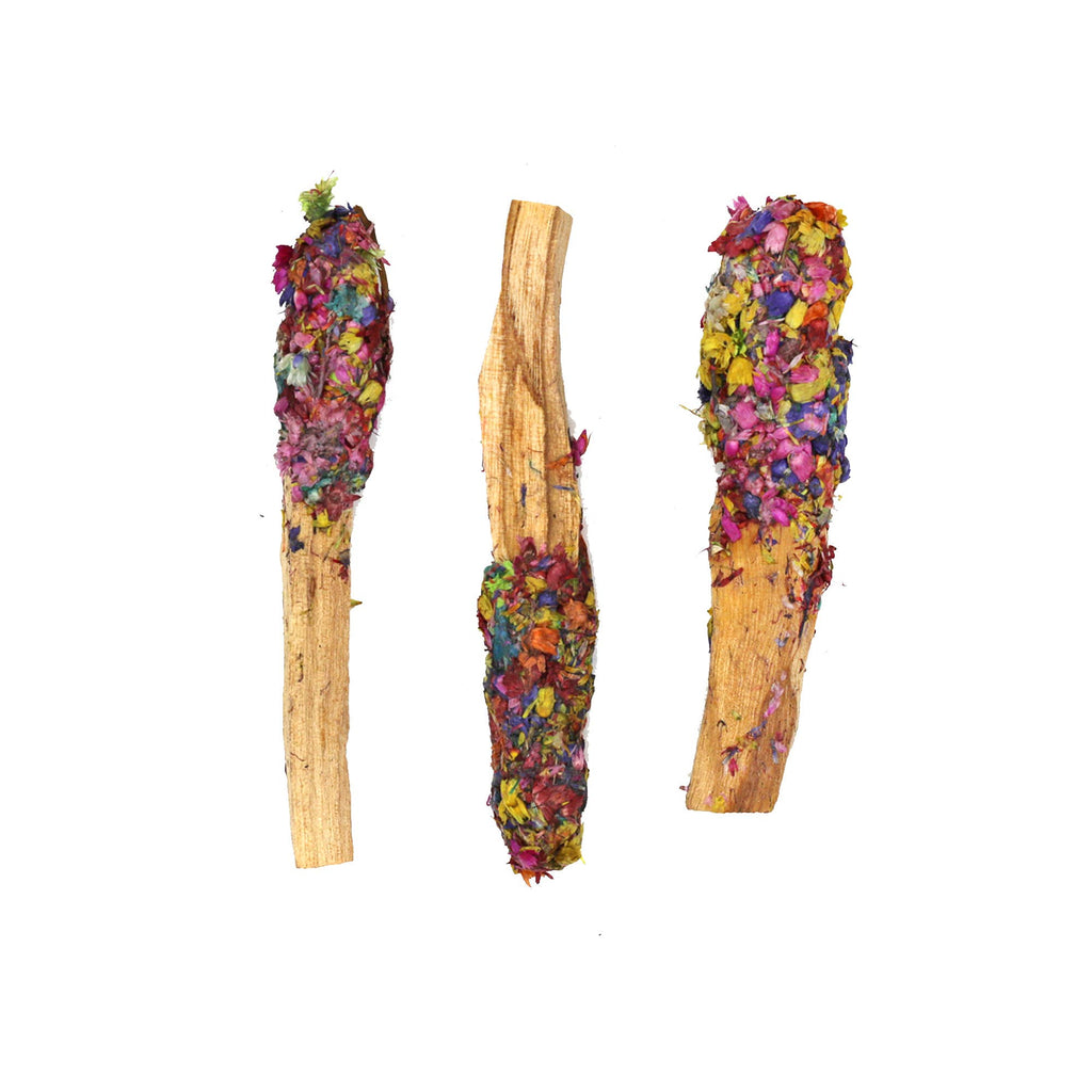 Dipped Chakra Harmony Palo Santo Pops (3–4") - Dear John