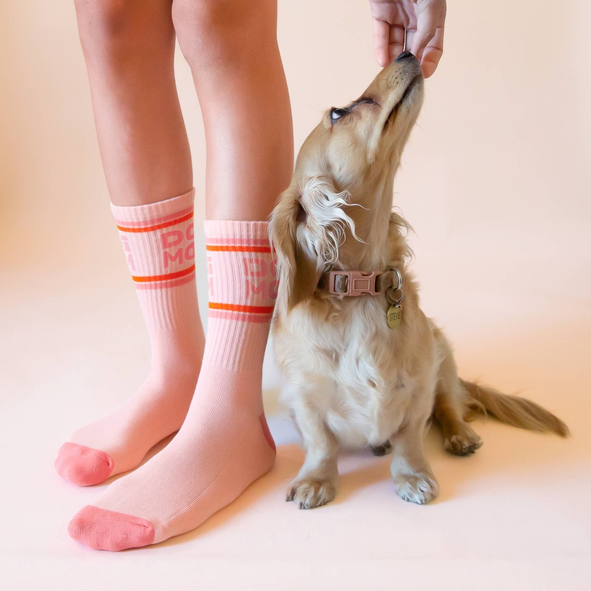 Dog Mom Striped Ribbed Crew Socks - Dear John