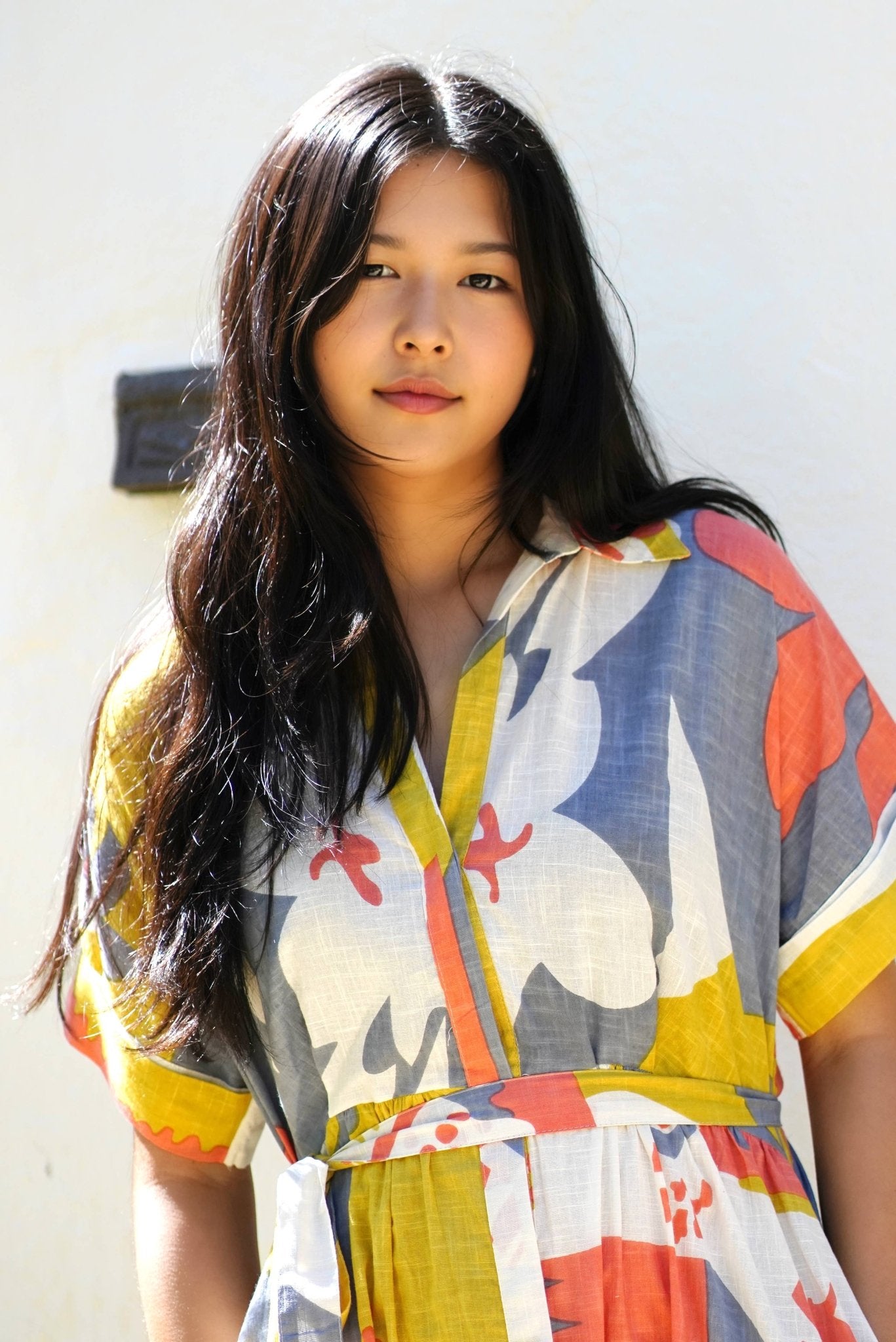 Dolma - Brigitte Abstract Print Dress Multi - Dear John