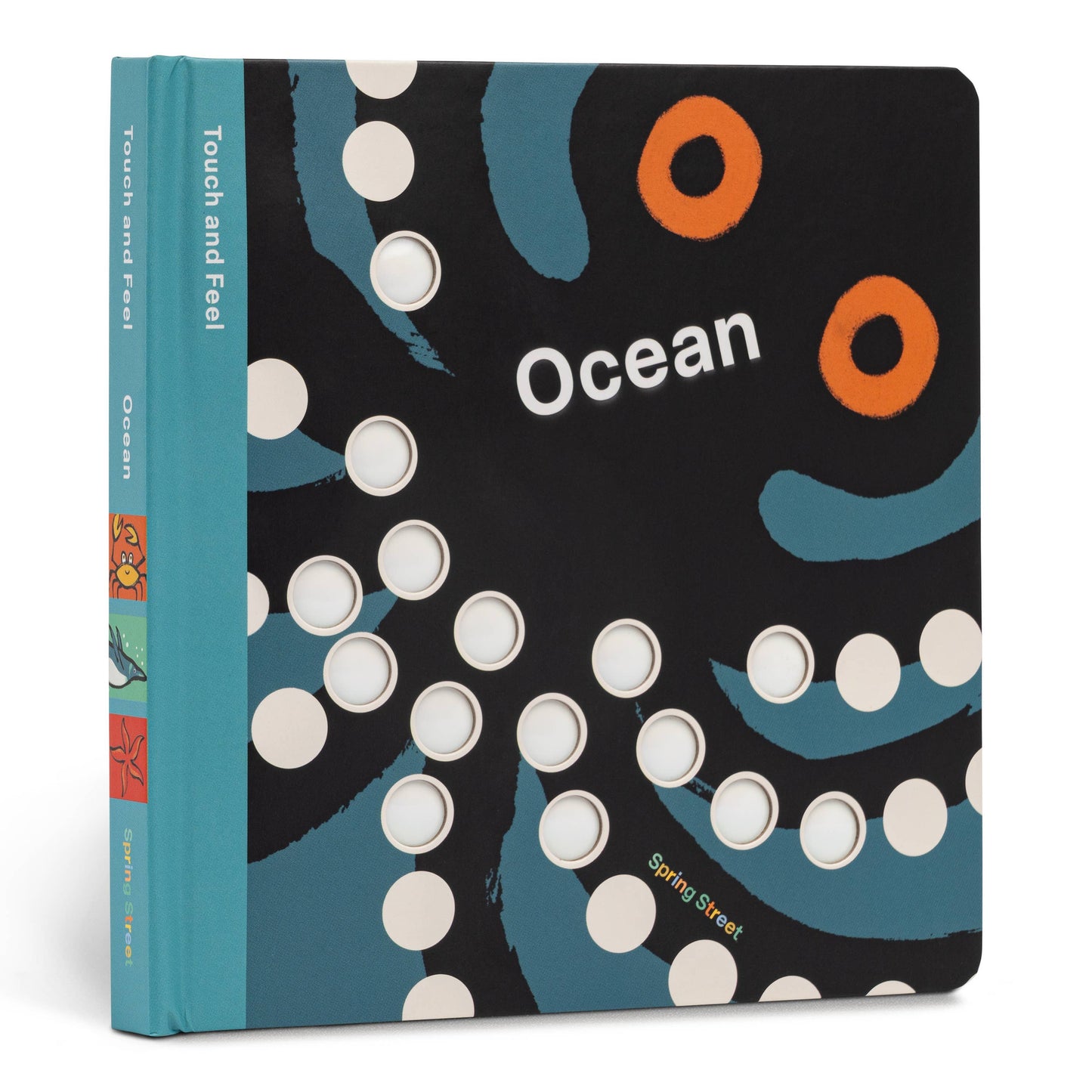 Hachette Book Group - Spring Street Touch and Feel: Ocean
