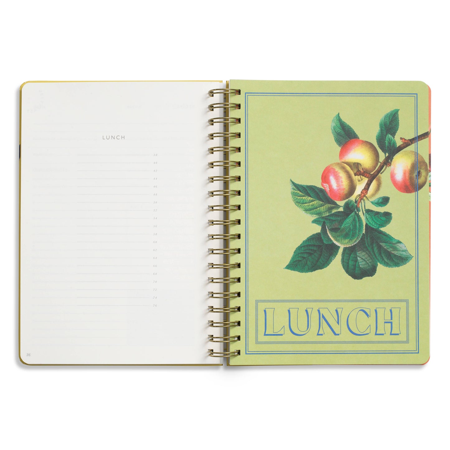 Guided Recipe Journal — B5 Spiral Hardcover (Hanging Fruits)