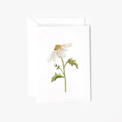 emily lex studio - Daisy mini enclosure notecard - Dear John