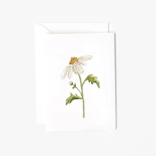 emily lex studio - Daisy mini enclosure notecard - Dear John