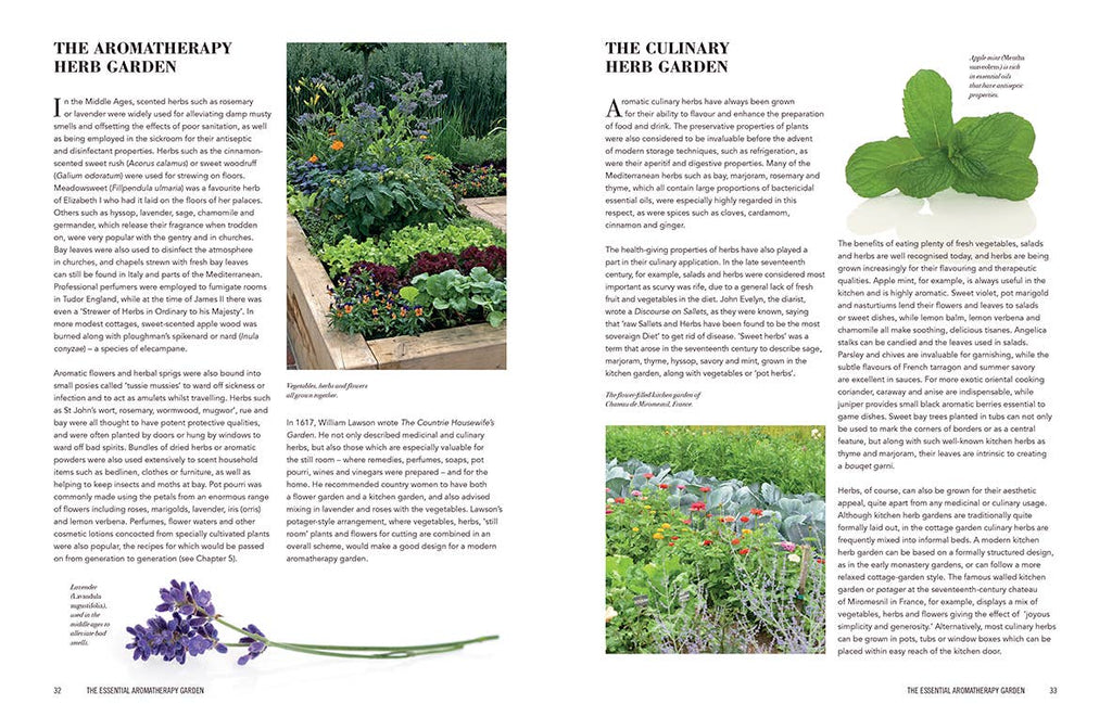 Essential Aromatherapy Garden - Dear John