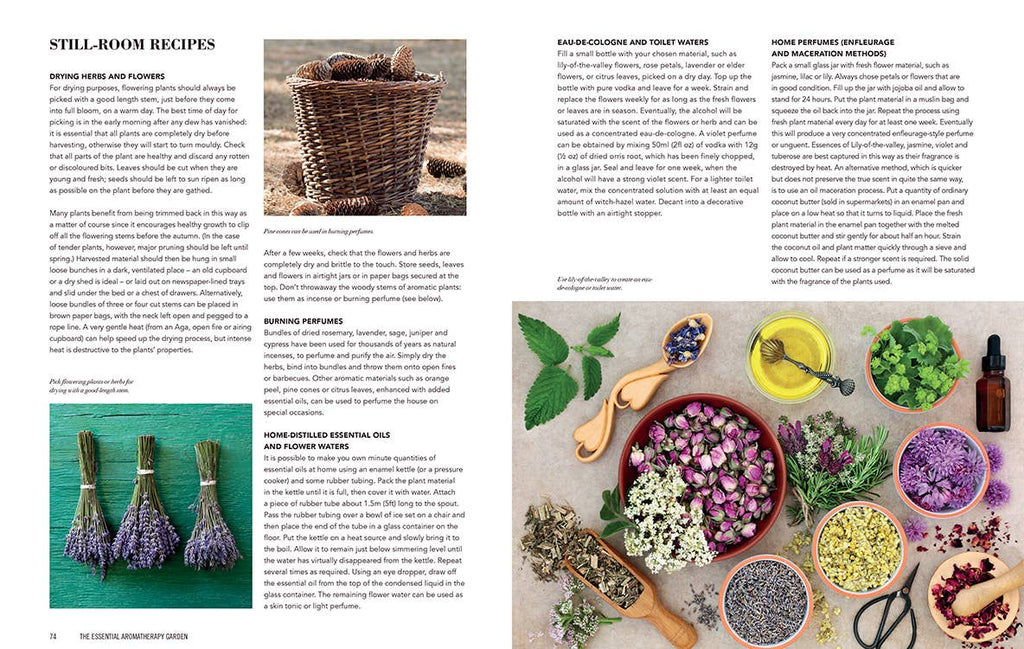 Essential Aromatherapy Garden - Dear John