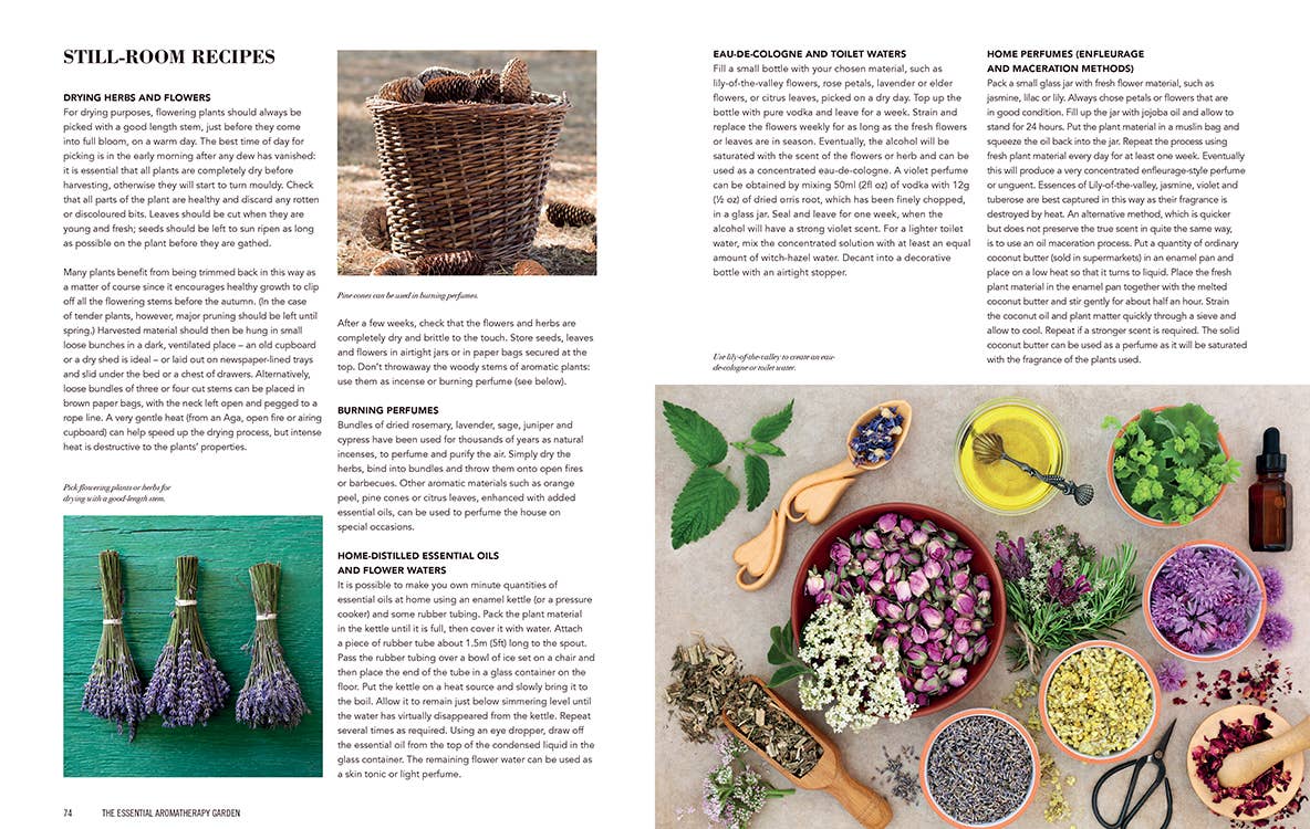 Essential Aromatherapy Garden - Dear John