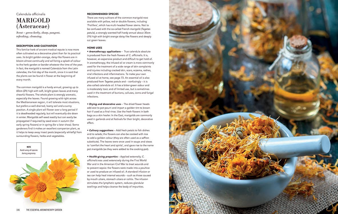 Essential Aromatherapy Garden - Dear John