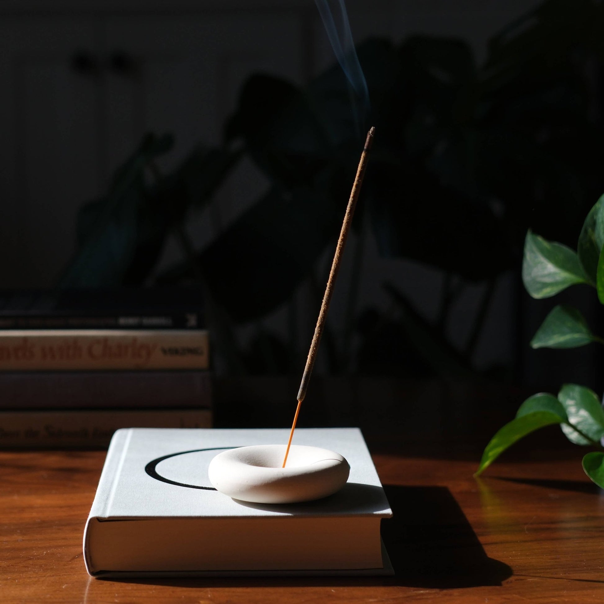 Eve Incense - Dear John