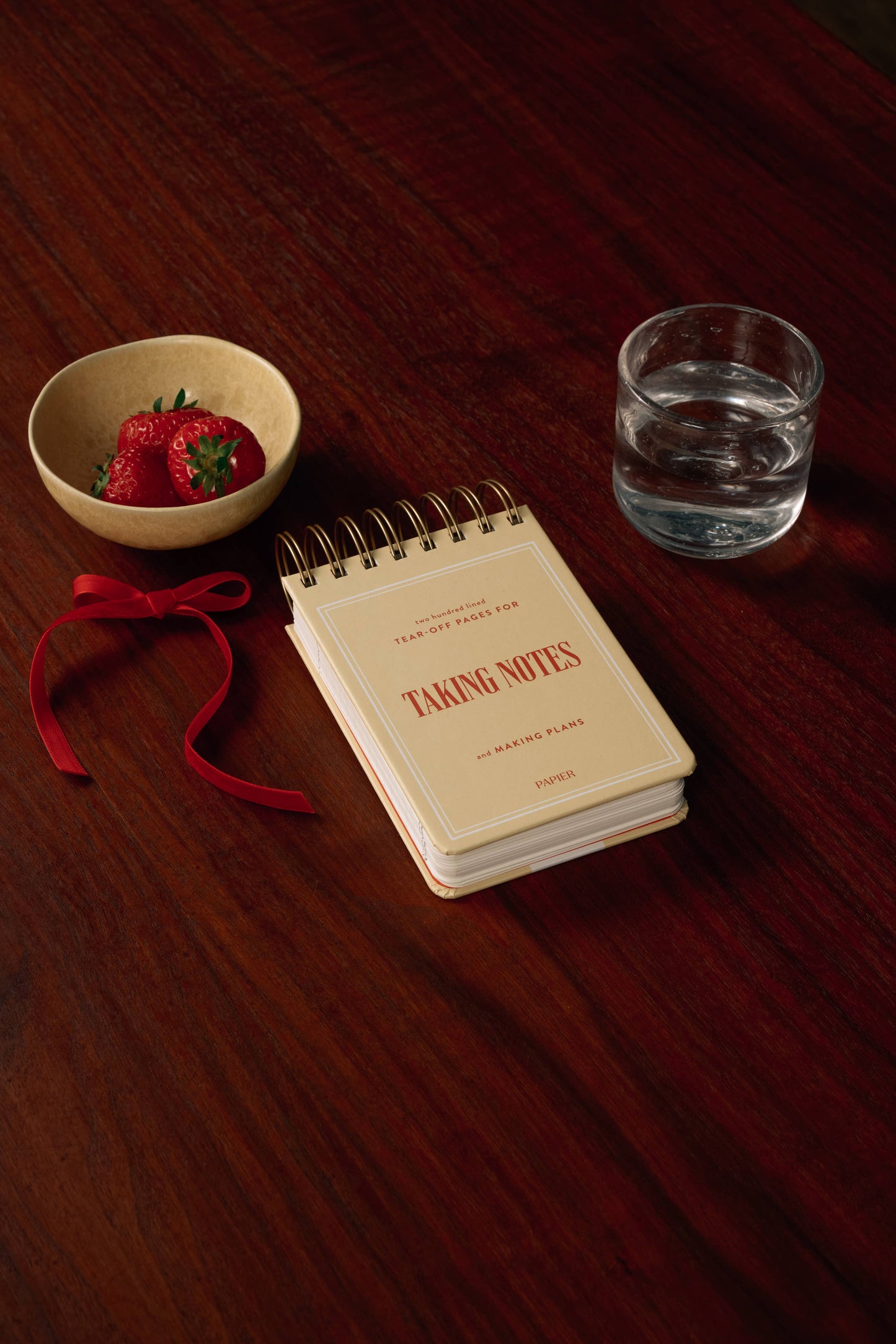 Chunky Spiral Notepad — Taking Notes