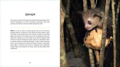 Ugly-Cute — Jennifer McCartney