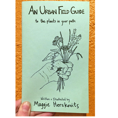 Urban Field Guide to the Plants in Your Path — Discover the Wild Green Around You (Zine)