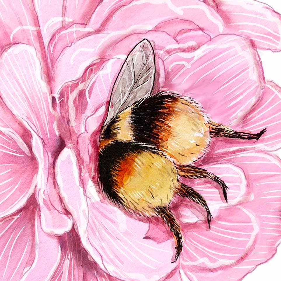 Flower Bees - Cute Valentines Day Card - Dear John