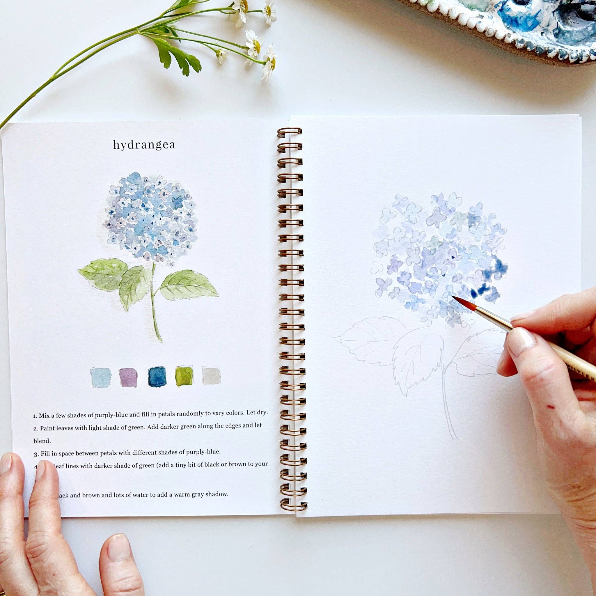 Flowers watercolor workbook - Dear John