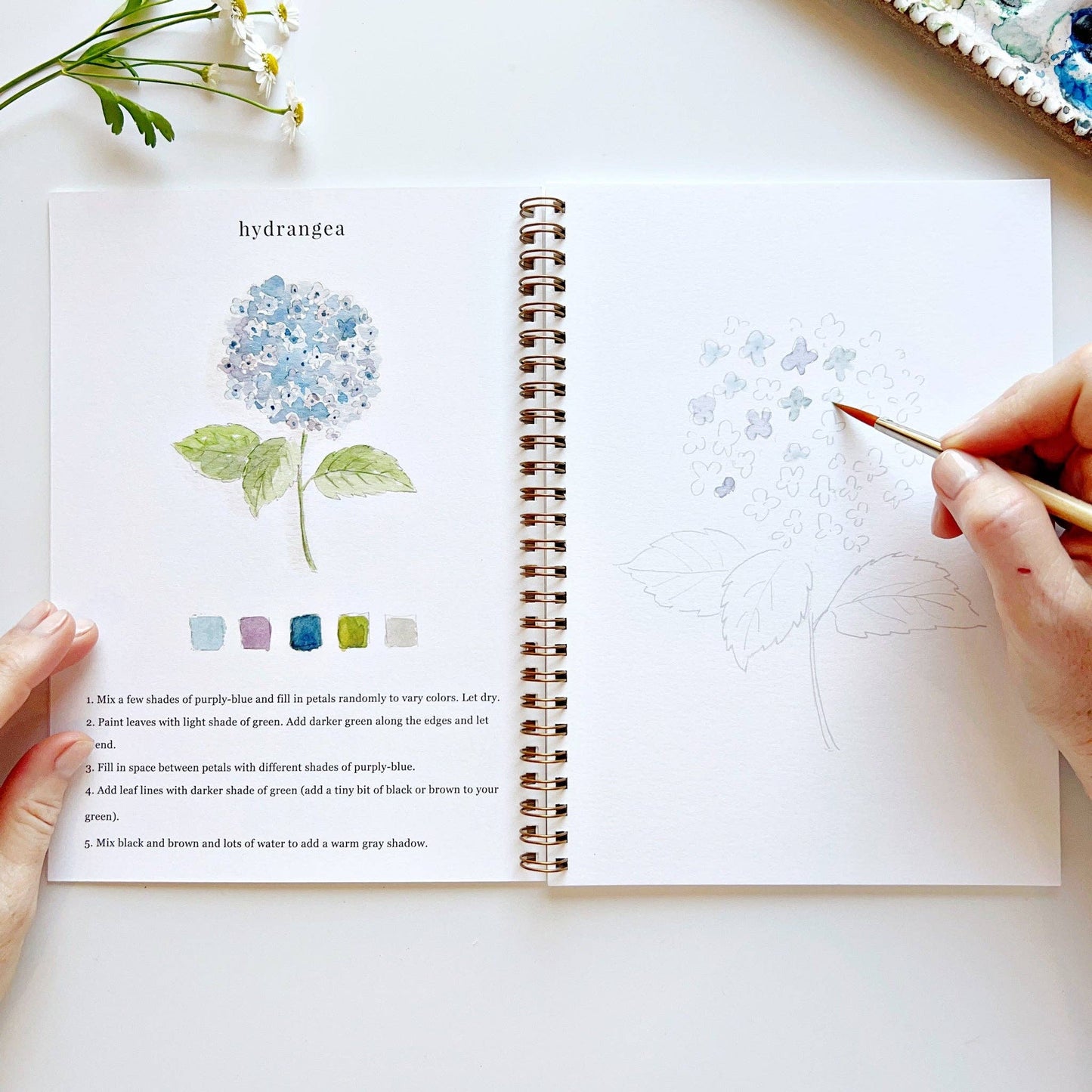 Flowers watercolor workbook - Dear John