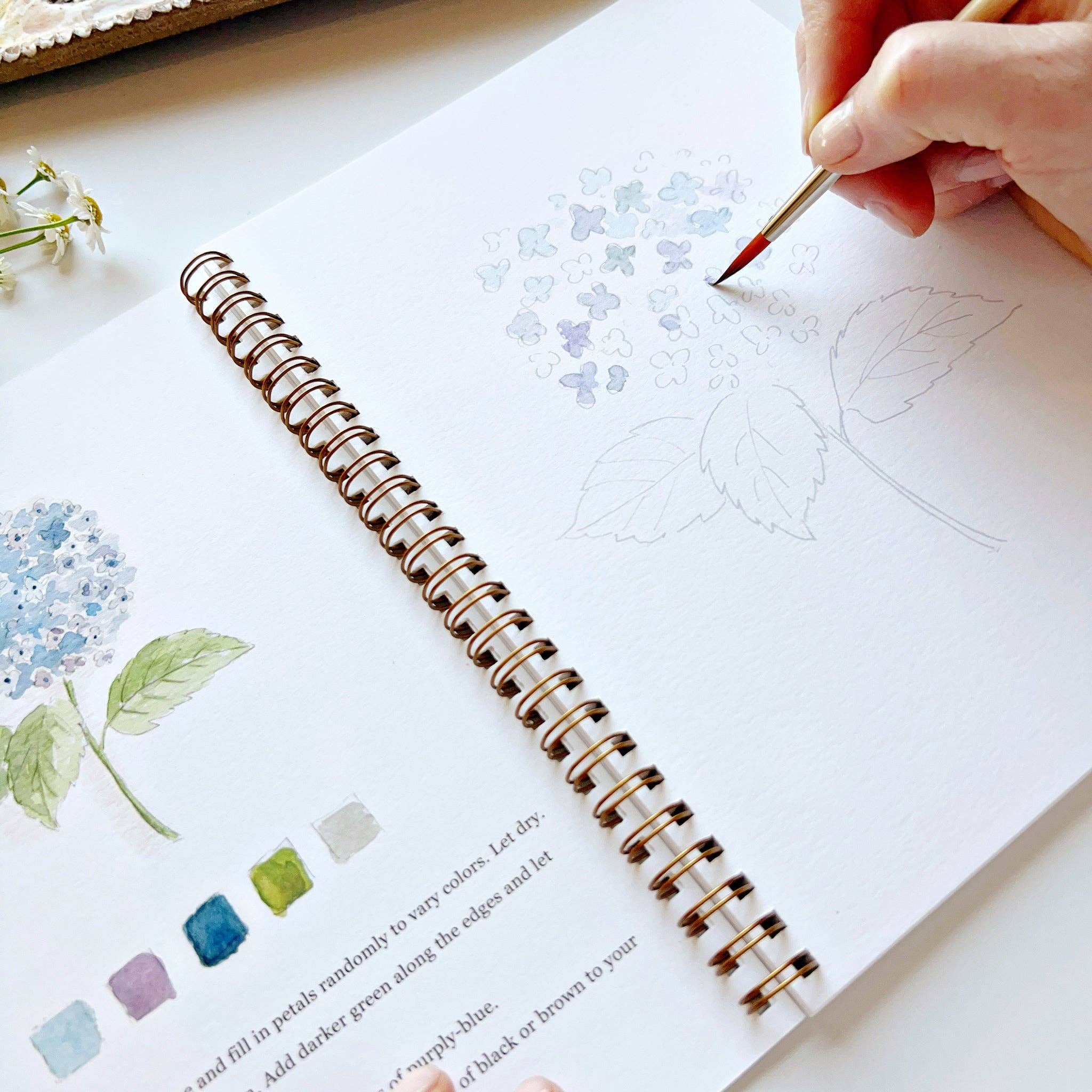 Flowers watercolor workbook - Dear John