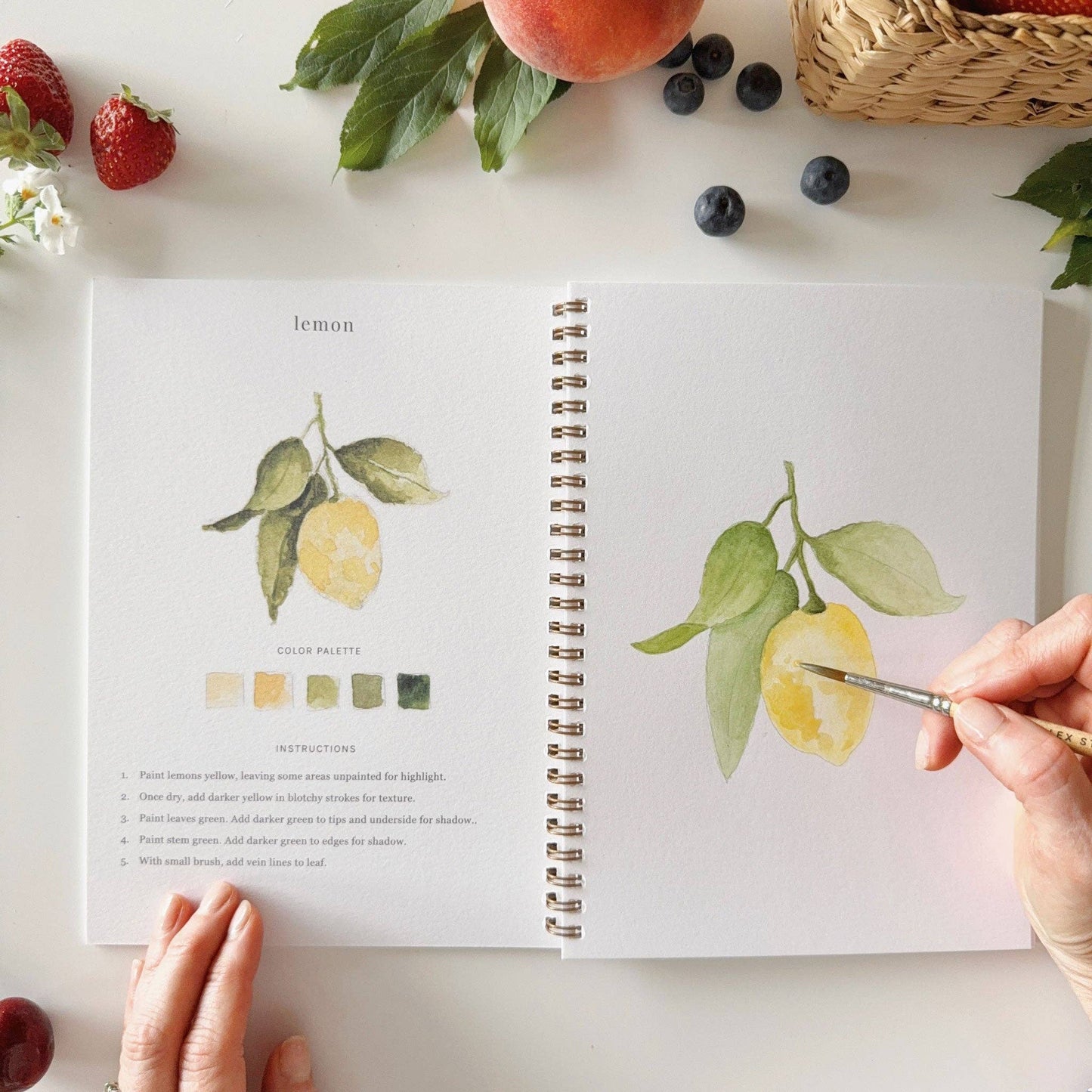 Fruit watercolor workbook - Dear John