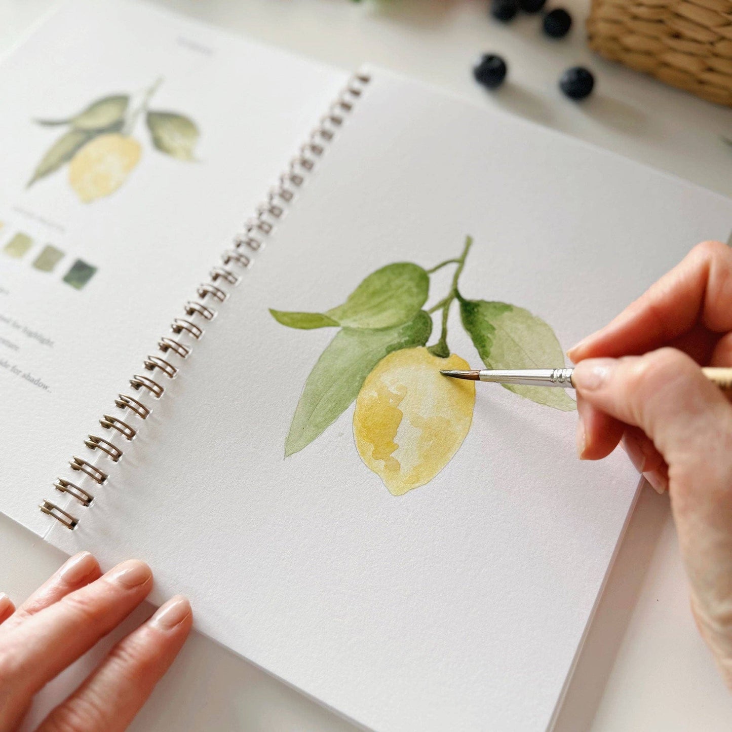 Fruit watercolor workbook - Dear John