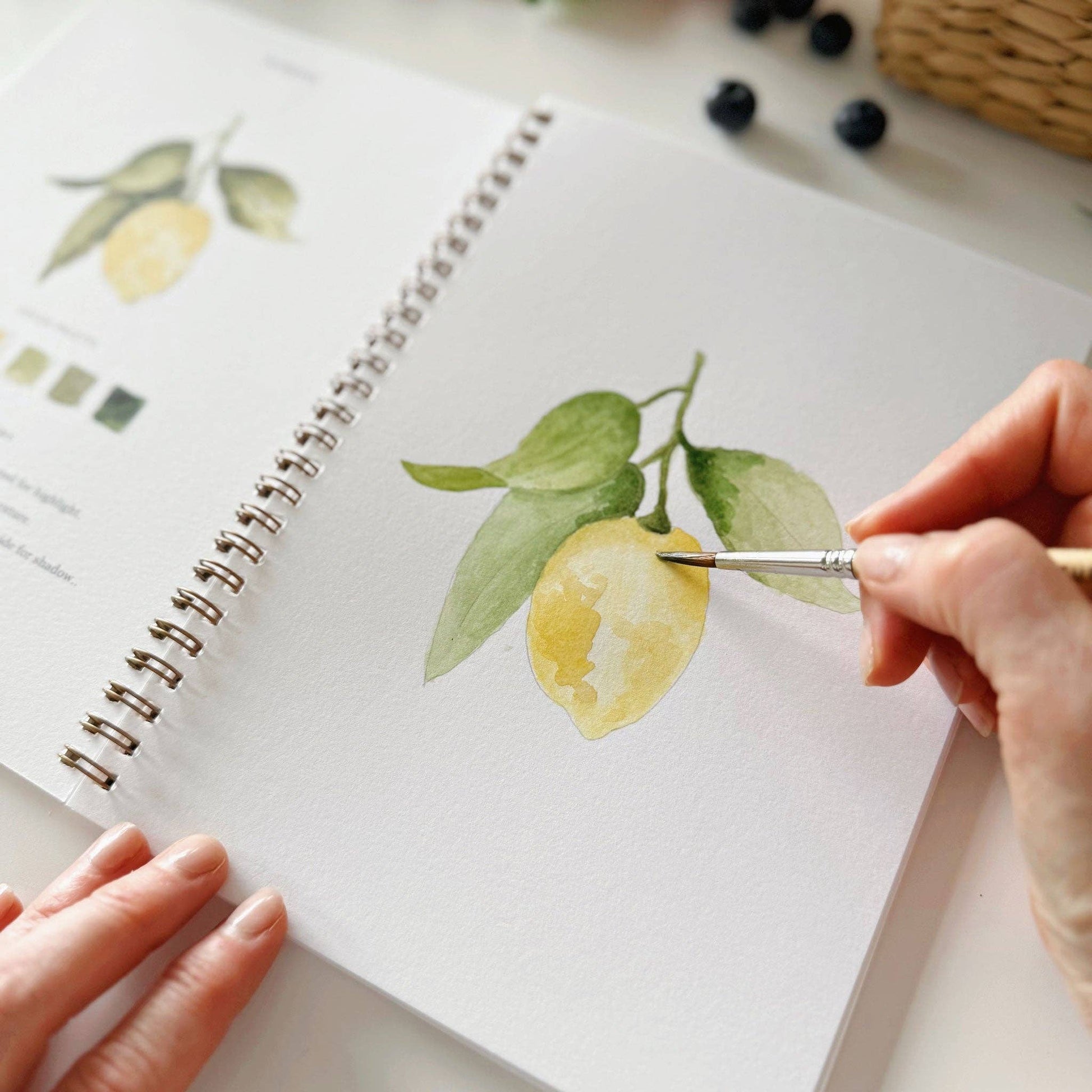 Fruit watercolor workbook - Dear John