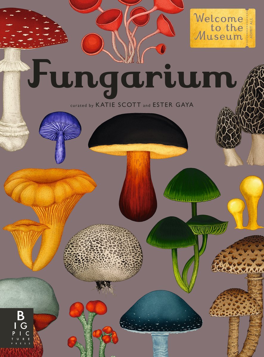 Fungarium - Dear John