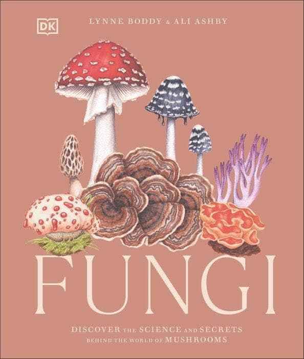 Fungi - Dear John
