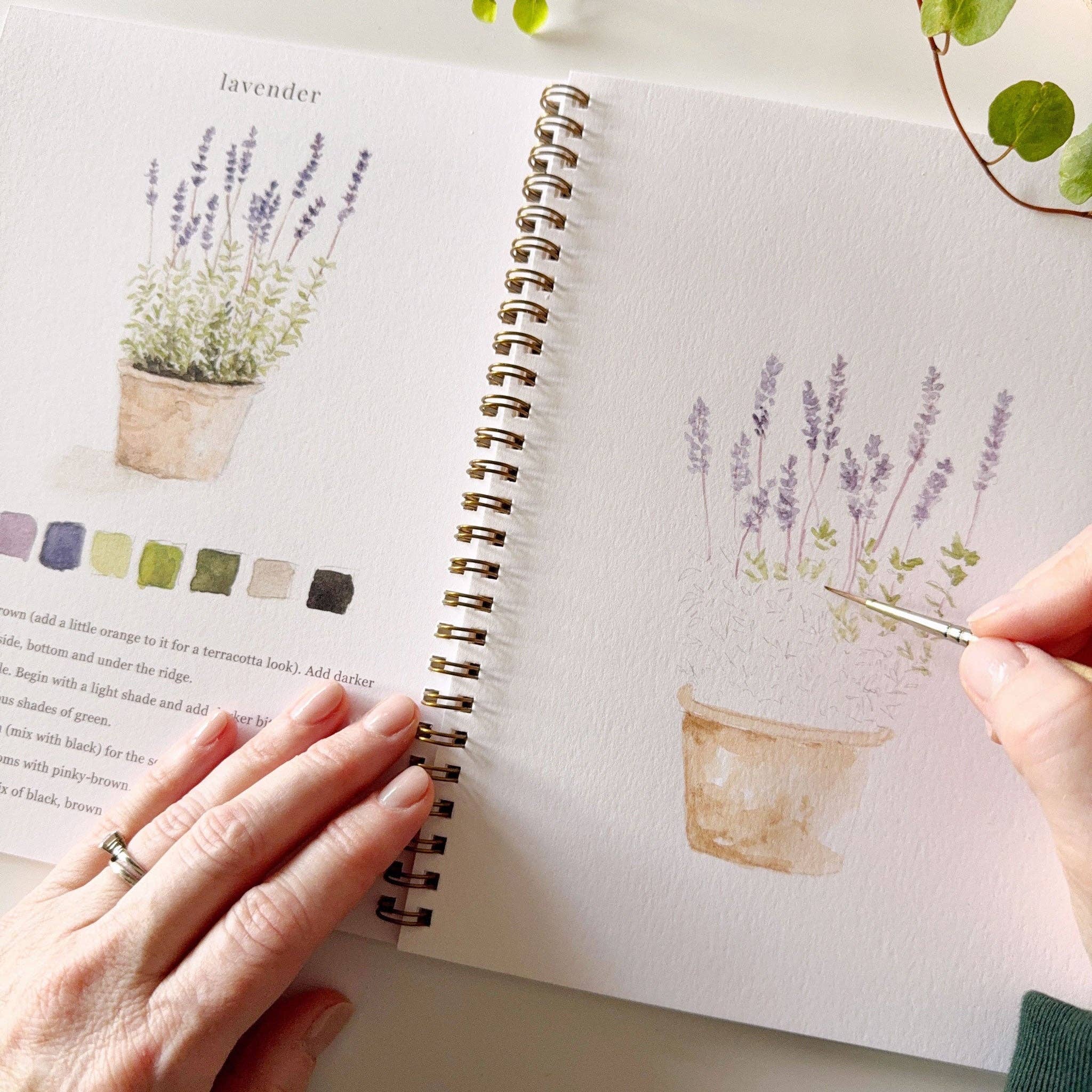 Garden watercolor workbook - Dear John