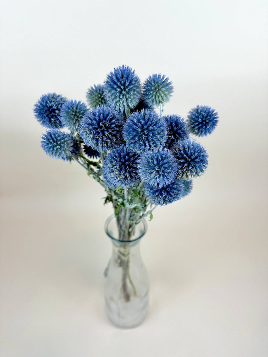 Globe Thistle (Echinops) – Natural Blue, Air - Dried - Dear John