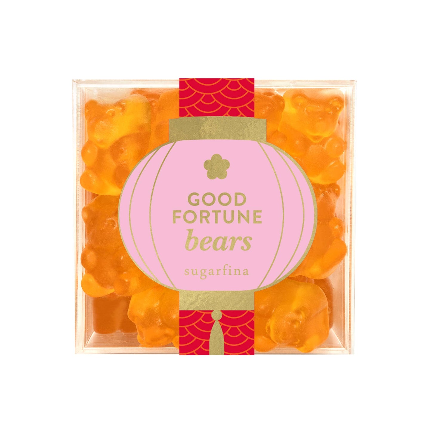 Good Fortune Bears - Small (Lunar New Year 2026) - Dear John