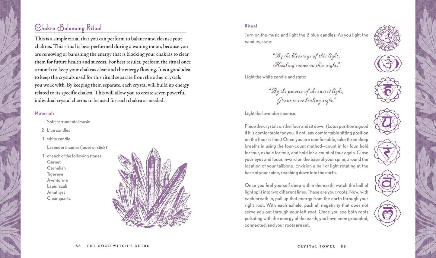 Good Witch's Guide by Shawn Robbins - Dear John