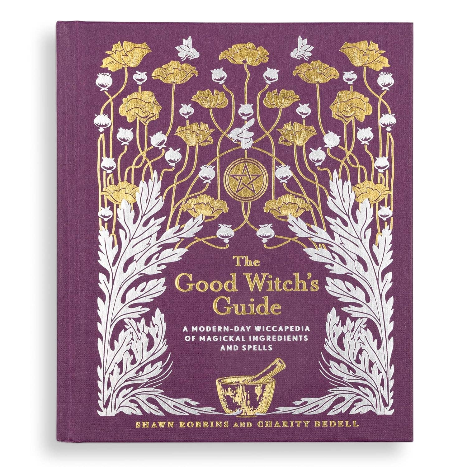 Good Witch's Guide by Shawn Robbins - Dear John