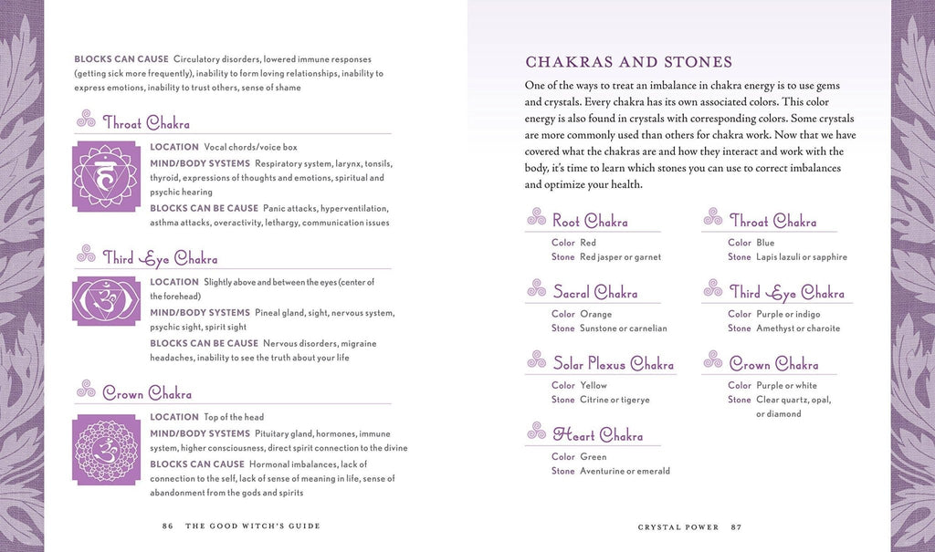 Good Witch's Guide by Shawn Robbins - Dear John