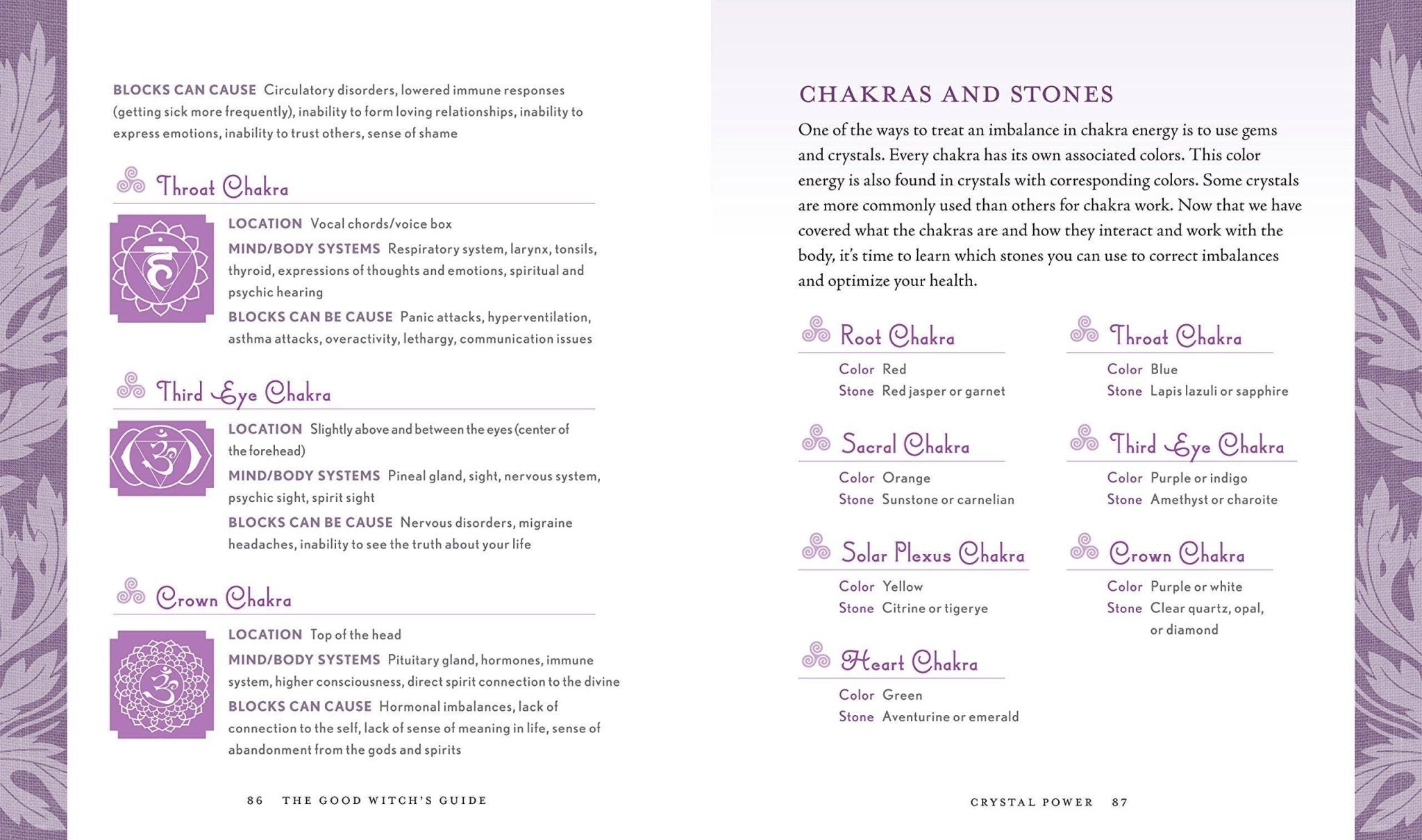 Good Witch's Guide by Shawn Robbins - Dear John