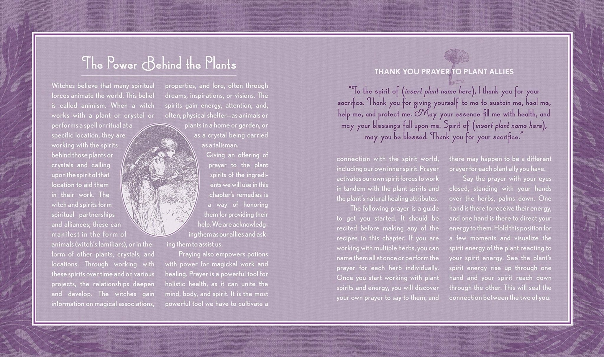 Good Witch's Guide by Shawn Robbins - Dear John