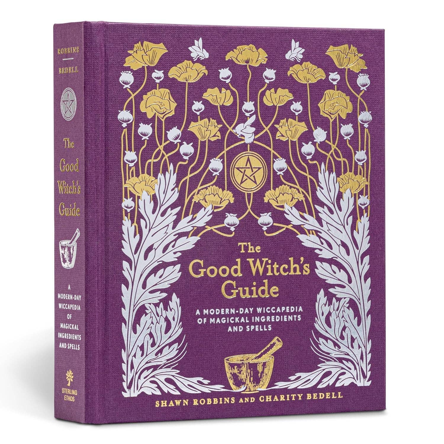 Good Witch's Guide by Shawn Robbins - Dear John