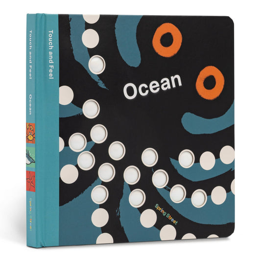 Hachette Book Group - Spring Street Touch and Feel: Ocean - Dear John