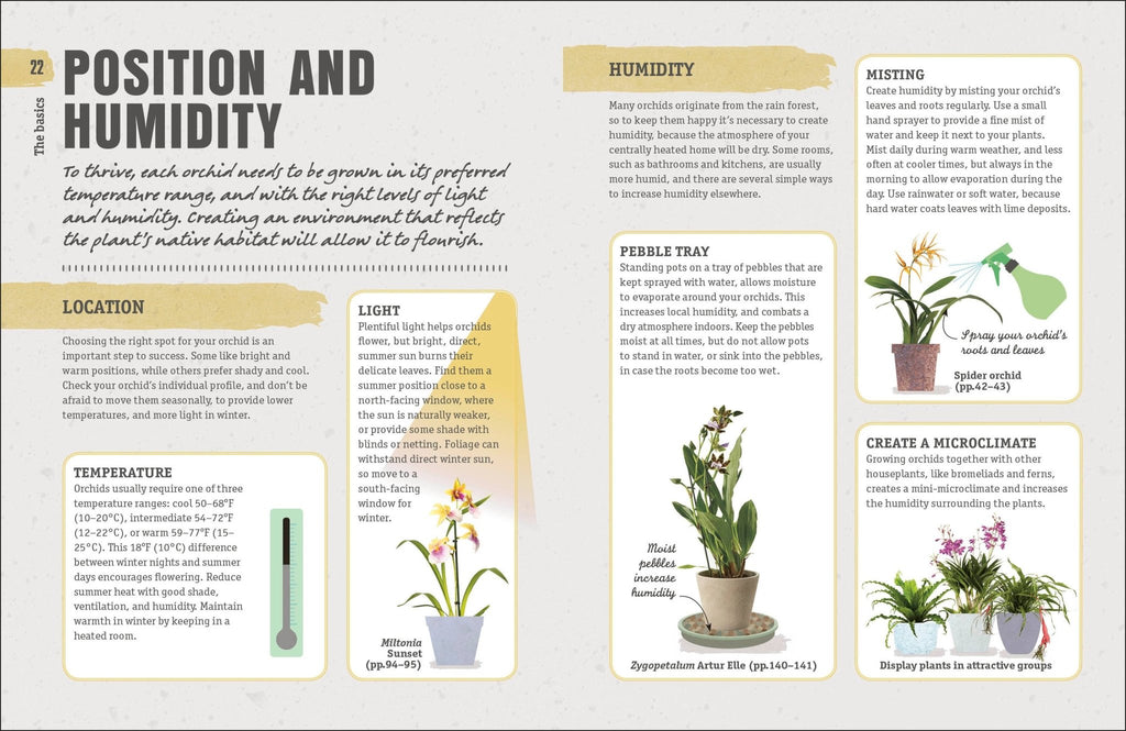 Happy Orchid - Dear John