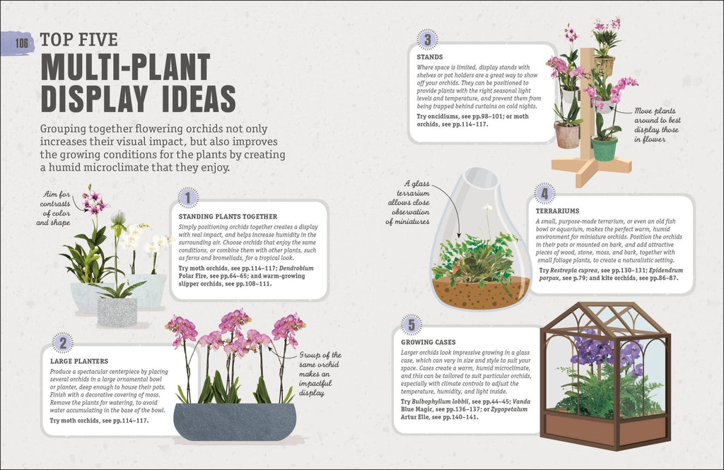 Happy Orchid - Dear John