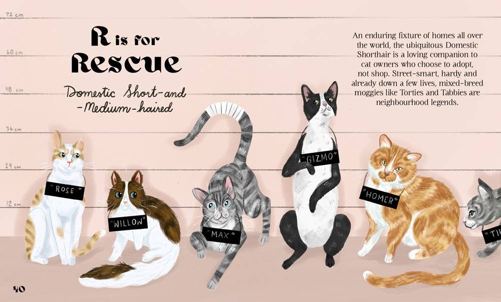 HarperCollins - Catphabet : A Cat Alphabet - Dear John