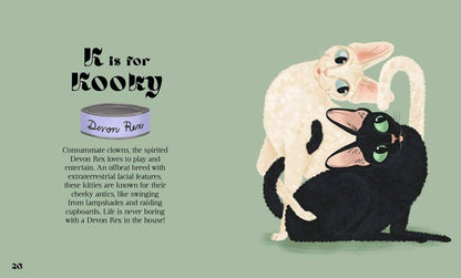 HarperCollins - Catphabet : A Cat Alphabet - Dear John